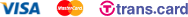 online payment icon